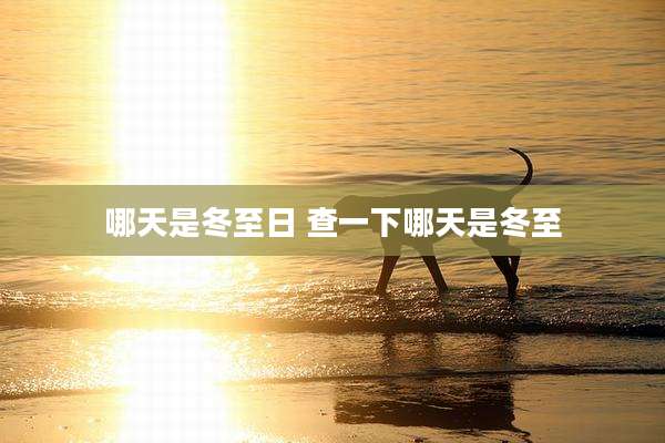 哪天是冬至日 查一下哪天是冬至