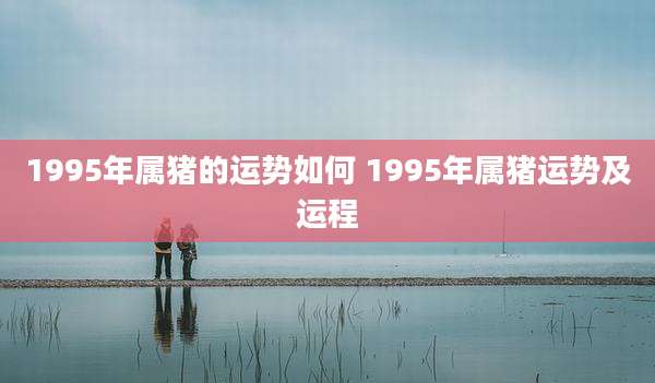 1995年属猪的运势如何 1995年属猪运势及运程