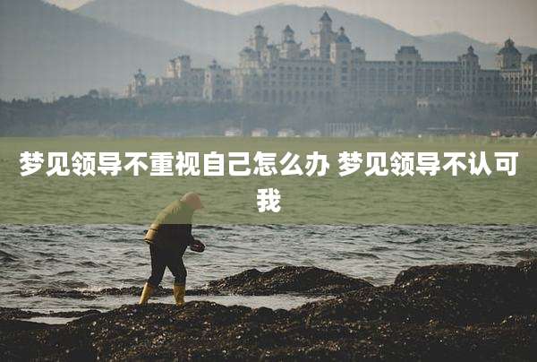 梦见领导不重视自己怎么办 梦见领导不认可我
