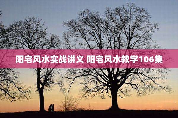 阳宅风水实战讲义 阳宅风水教学106集