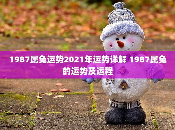 1987属兔运势2021年运势详解 1987属兔的运势及运程