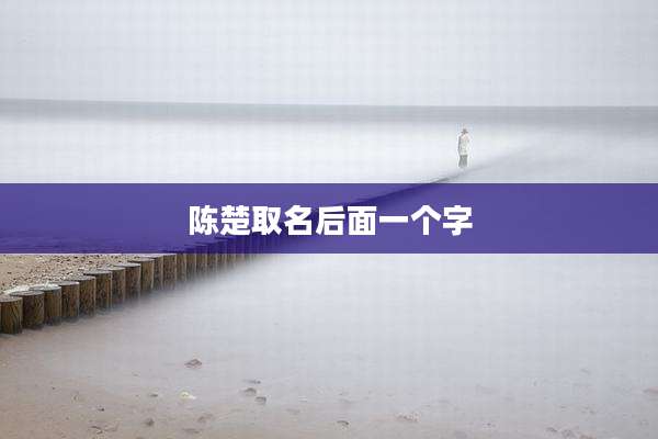 陈楚取名后面一个字