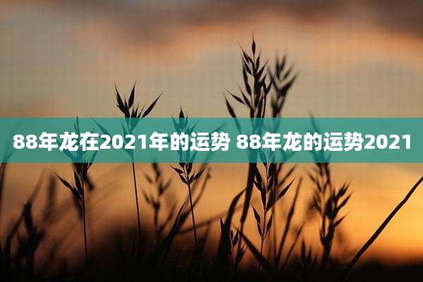 88年龙在2021年的运势 88年龙的运势2021