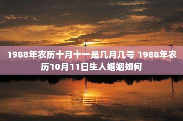 1988年农历十月十一是几月几号 1988年农历10月11日生人婚姻如何