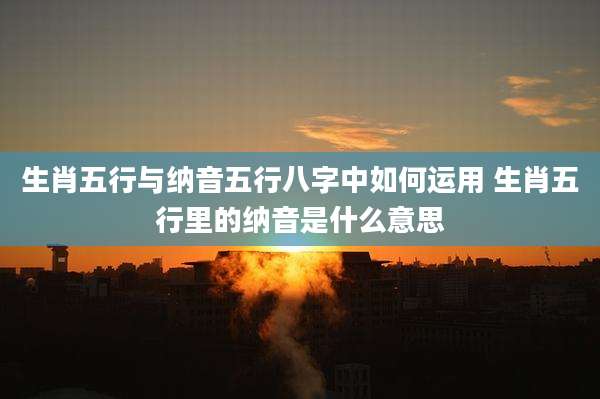 生肖五行与纳音五行八字中如何运用 生肖五行里的纳音是什么意思