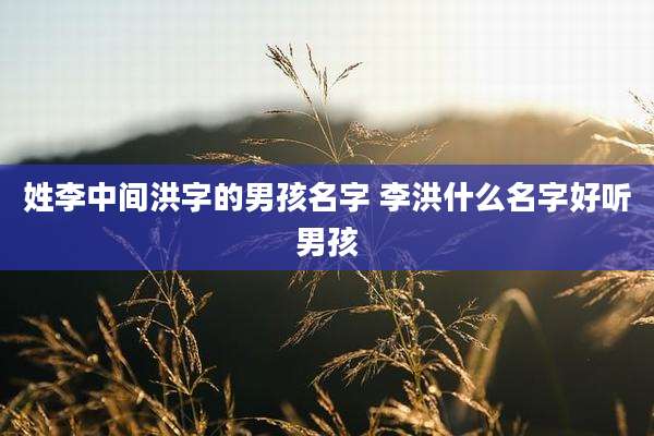 姓李中间洪字的男孩名字 李洪什么名字好听男孩