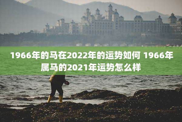 1966年的马在2022年的运势如何 1966年属马的2021年运势怎么样
