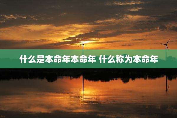 什么是本命年本命年 什么称为本命年
