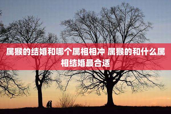 属猴的结婚和哪个属相相冲 属猴的和什么属相结婚最合适