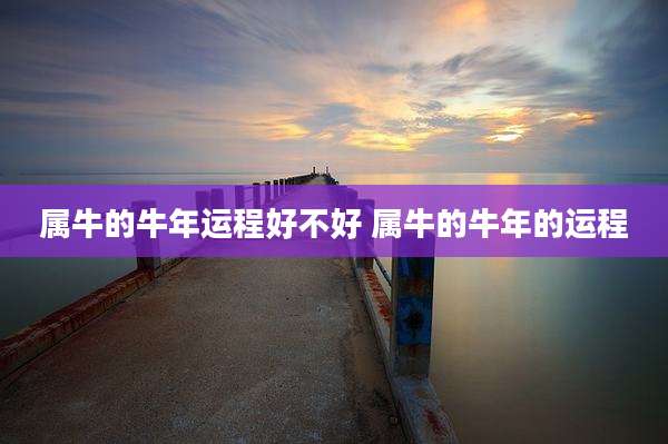属牛的牛年运程好不好 属牛的牛年的运程