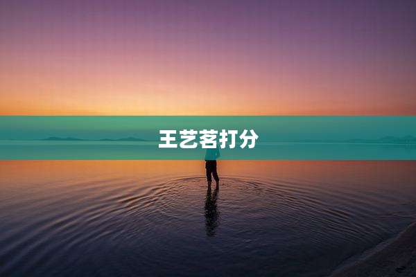 王艺茗打分