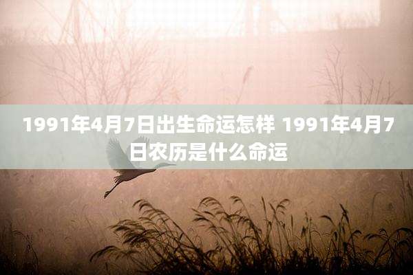 1991年4月7日出生命运怎样 1991年4月7日农历是什么命运