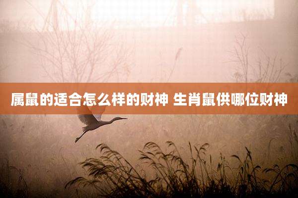 属鼠的适合怎么样的财神 生肖鼠供哪位财神