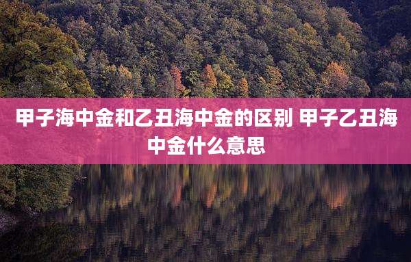 甲子海中金和乙丑海中金的区别 甲子乙丑海中金什么意思