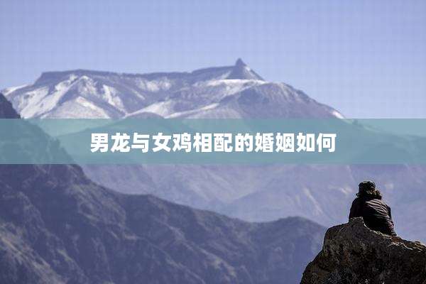 男龙与女鸡相配的婚姻如何