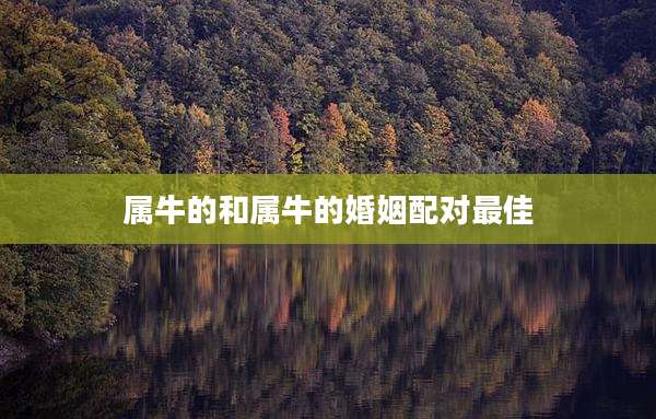 属牛的和属牛的婚姻配对最佳