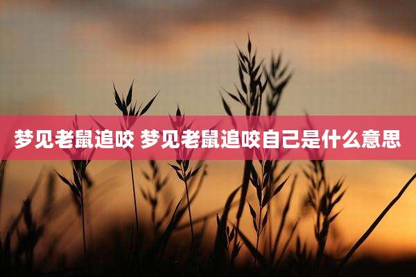 梦见老鼠追咬 梦见老鼠追咬自己是什么意思