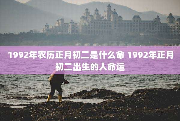 1992年农历正月初二是什么命 1992年正月初二出生的人命运