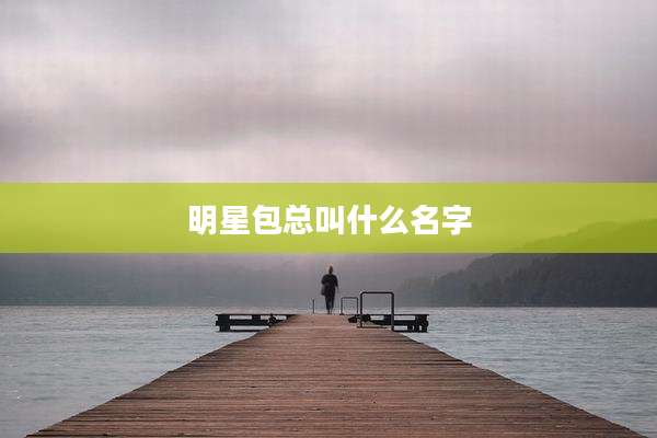 明星包总叫什么名字