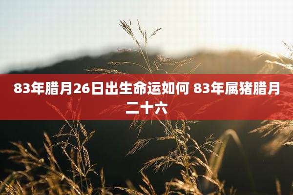 83年腊月26日出生命运如何 83年属猪腊月二十六