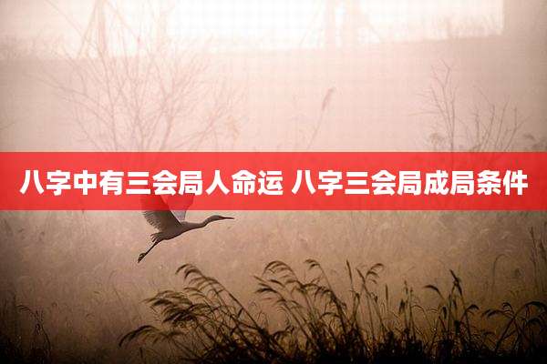 八字中有三会局人命运 八字三会局成局条件