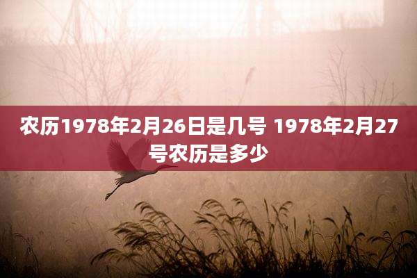 农历1978年2月26日是几号 1978年2月27号农历是多少