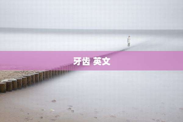 牙齿 英文