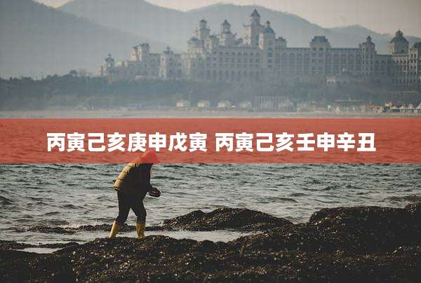 丙寅己亥庚申戊寅 丙寅己亥壬申辛丑
