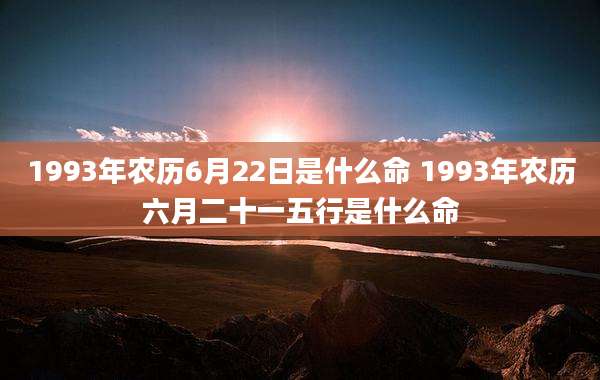 1993年农历6月22日是什么命 1993年农历六月二十一五行是什么命