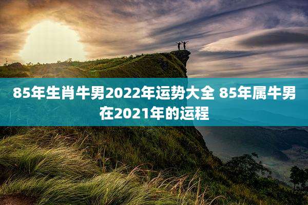 85年生肖牛男2022年运势大全 85年属牛男在2021年的运程