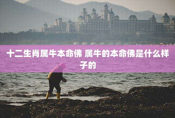 十二生肖属牛本命佛 属牛的本命佛是什么样子的