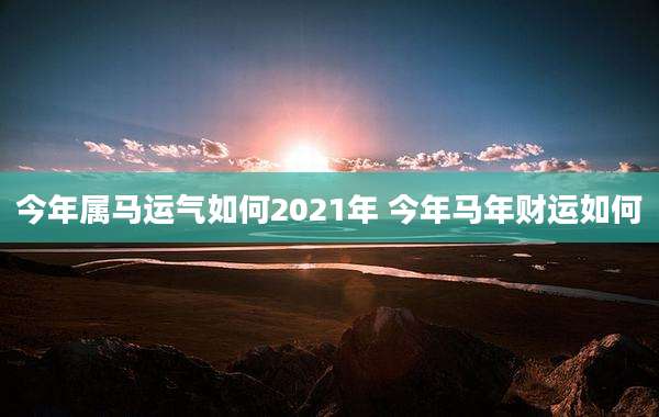 今年属马运气如何2021年 今年马年财运如何