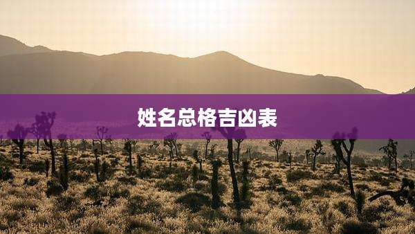 姓名总格吉凶表