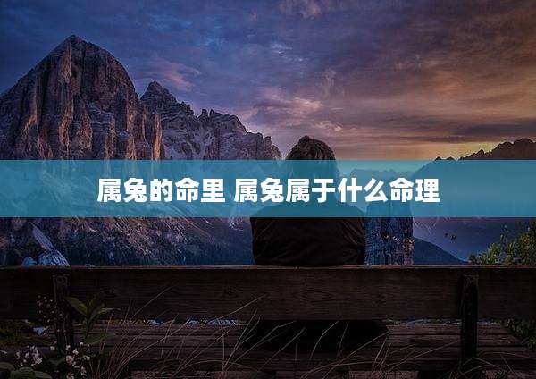 属兔的命里 属兔属于什么命理