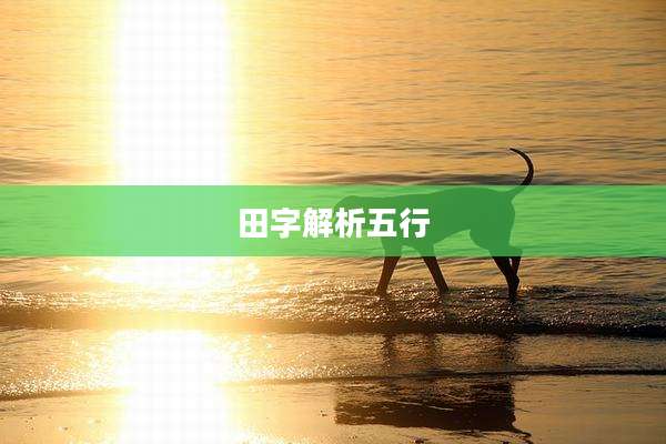 田字解析五行
