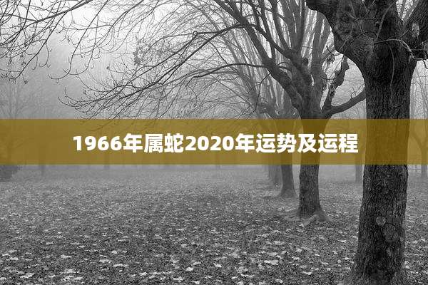 1966年属蛇2020年运势及运程