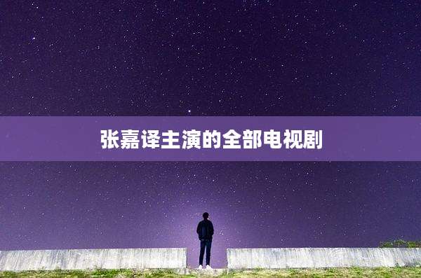 张嘉译主演的全部电视剧