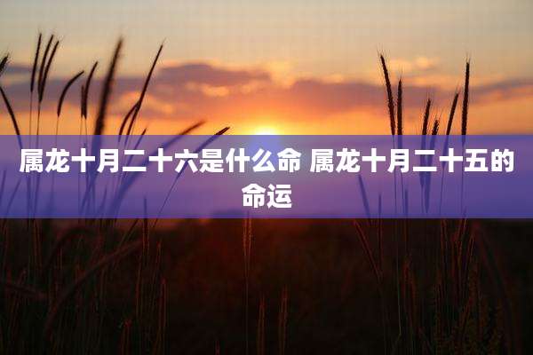 属龙十月二十六是什么命 属龙十月二十五的命运
