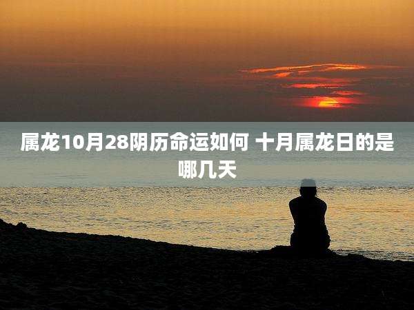 属龙10月28阴历命运如何 十月属龙日的是哪几天