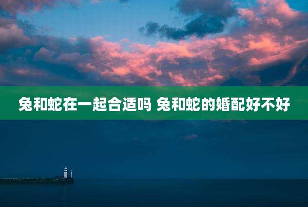 兔和蛇在一起合适吗 兔和蛇的婚配好不好