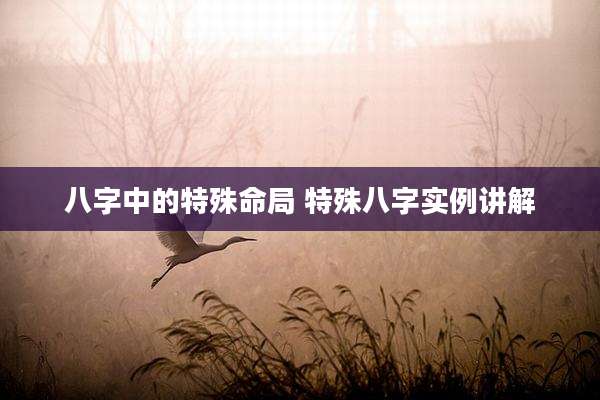 八字中的特殊命局 特殊八字实例讲解