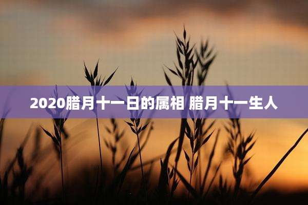 2020腊月十一日的属相 腊月十一生人