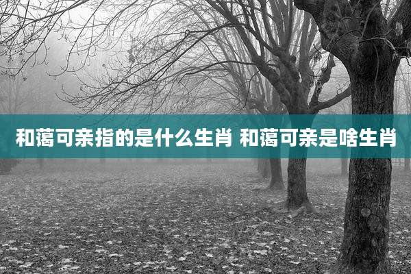 和蔼可亲指的是什么生肖 和蔼可亲是啥生肖