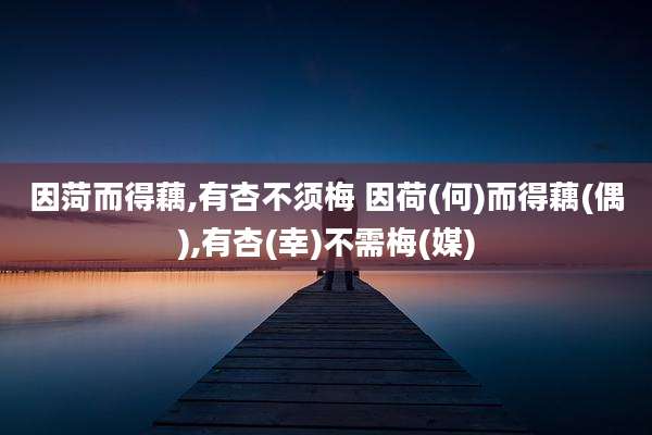 因菏而得藕,有杏不须梅 因荷(何)而得藕(偶),有杏(幸)不需梅(媒)