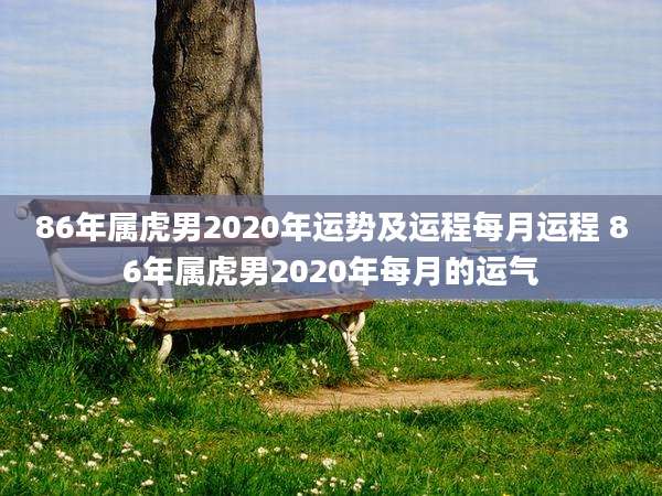 86年属虎男2020年运势及运程每月运程 86年属虎男2020年每月的运气