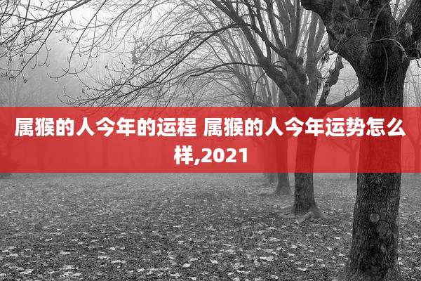 属猴的人今年的运程 属猴的人今年运势怎么样,2021