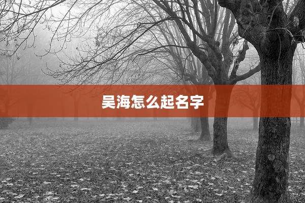 吴海怎么起名字