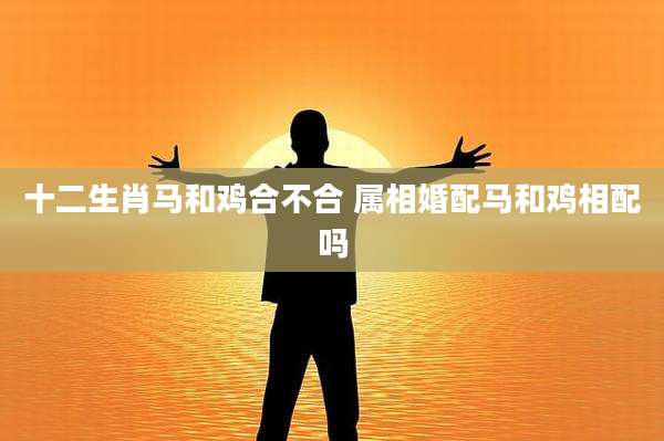 十二生肖马和鸡合不合 属相婚配马和鸡相配吗
