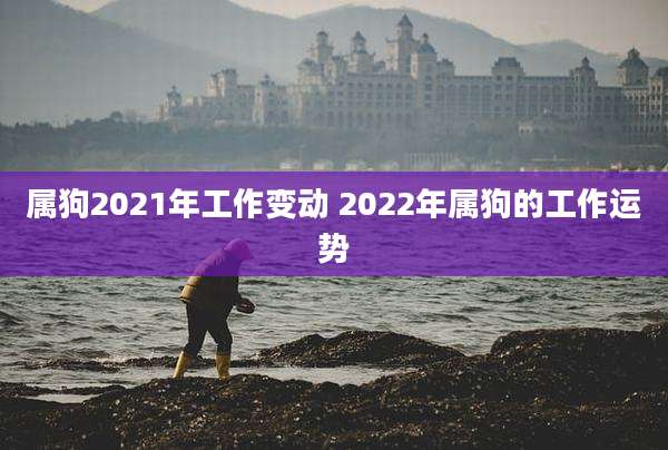 属狗2021年工作变动 2022年属狗的工作运势