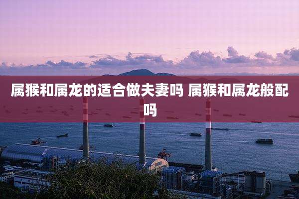 属猴和属龙的适合做夫妻吗 属猴和属龙般配吗